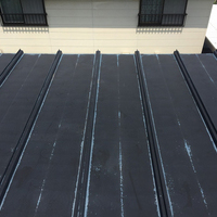 河東郡音更町Ｓ　屋根塗装のサムネイル