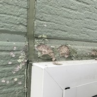 札幌市Ｓ様　外壁塗装のサムネイル