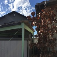 千曲市Ｍ様　外壁塗装、屋根塗装の事例紹介のサムネイル