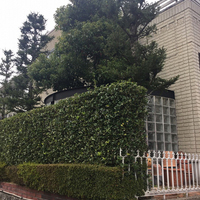 松山市Ｆ様　外壁塗装の事例紹介のサムネイル