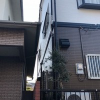松山市Ｎ様　外壁塗装の事例紹介のサムネイル